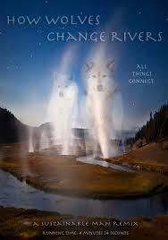 How Wolves Change Rivers - Plakaty