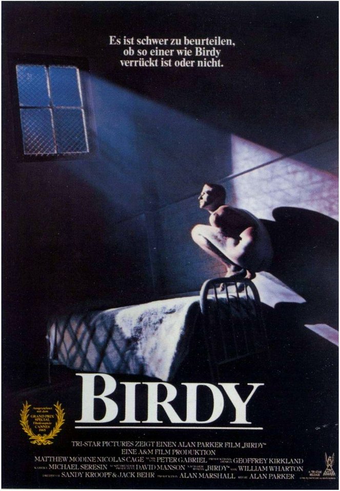 Birdy - Plakate