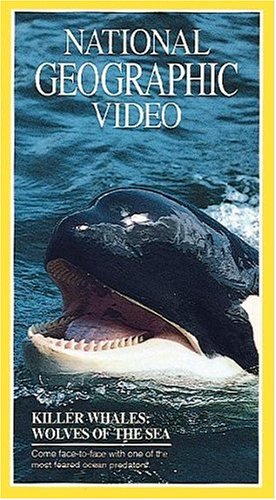 Kosatky dravé : Vlci moře - Cartazes