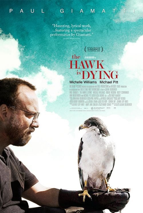 The Hawk Is Dying - Posters