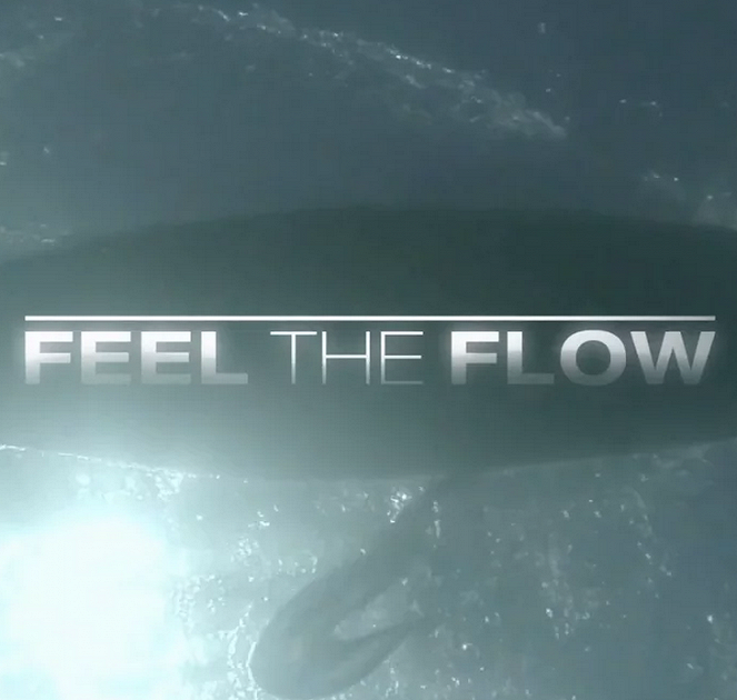 Feel the Flow - Plakate