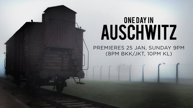 One Day in Auschwitz - Affiches