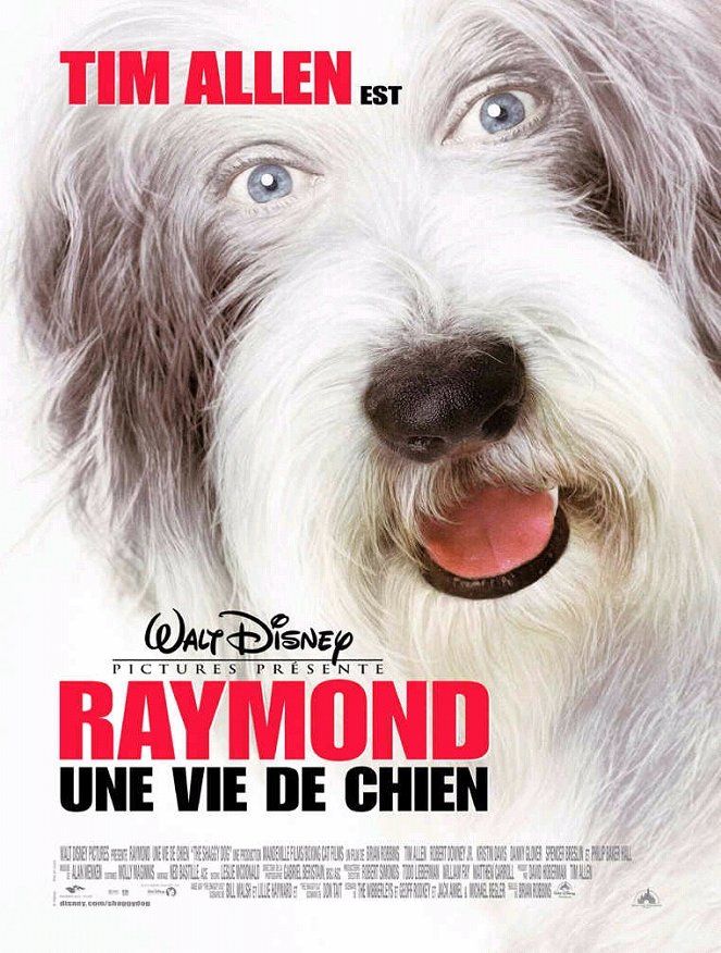 Raymond - Affiches