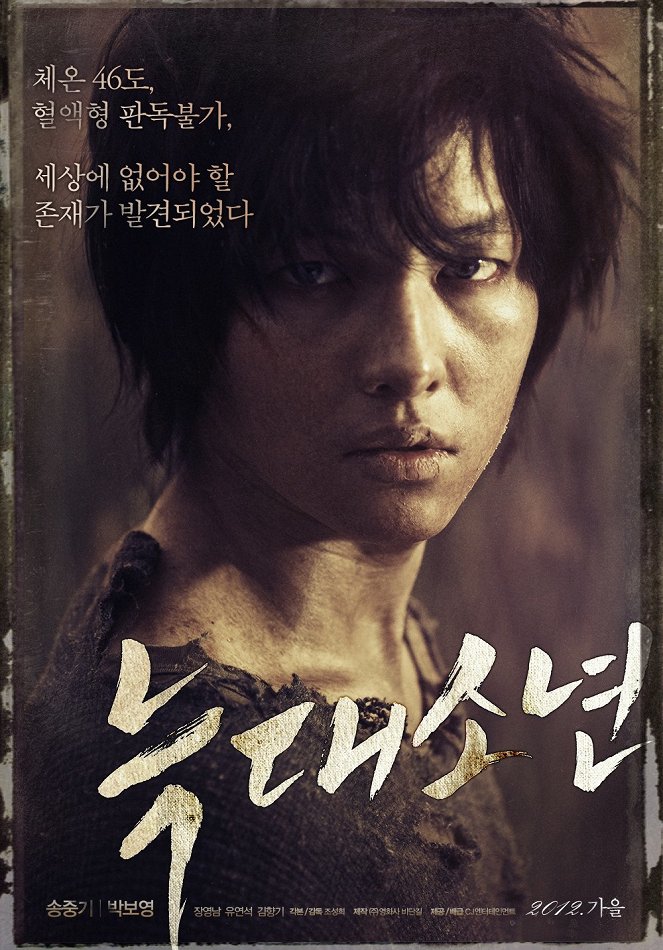 A Werewolf Boy - Posters