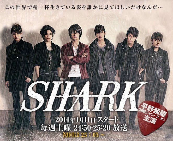 SHARK - Plakate