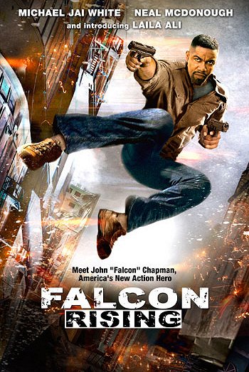 Falcon Rising - Julisteet