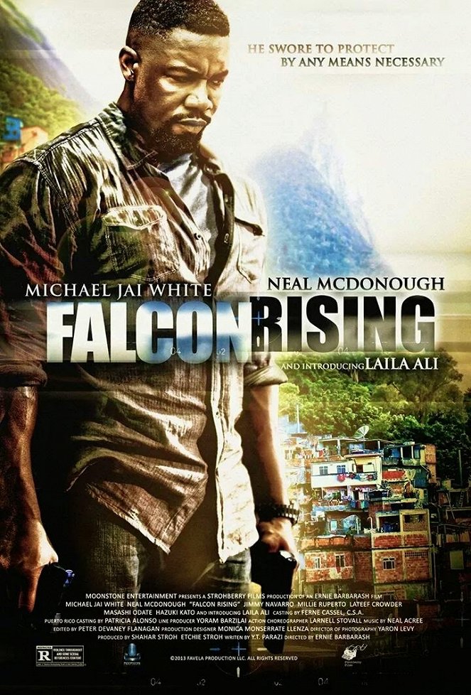 Falcon Rising - Affiches