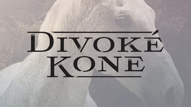 Divocí koně - Plakáty