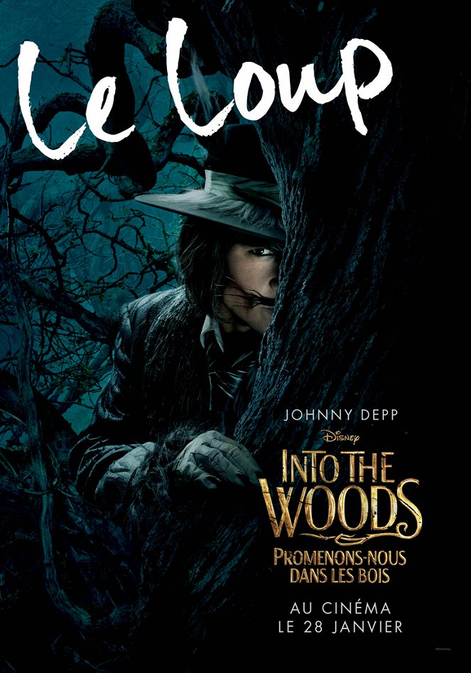 Into the Woods, Promenons-nous dans les bois - Affiches