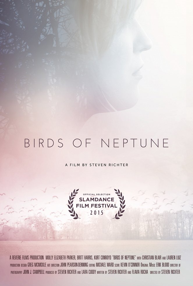 Birds of Neptune - Cartazes