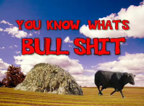 You Know What's Bullshit - Affiches