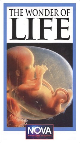 The Miracle of Life - Posters