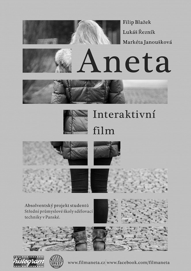 Aneta - Plakate