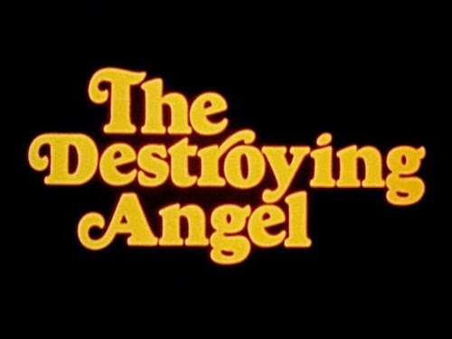 The Destroying Angel - Julisteet
