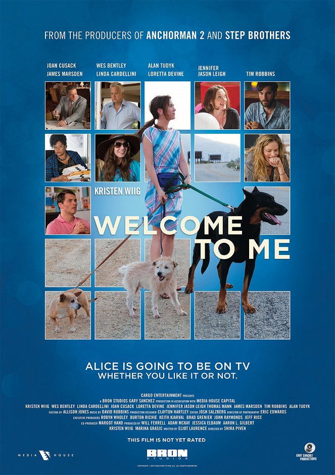 Welcome to Me - Posters