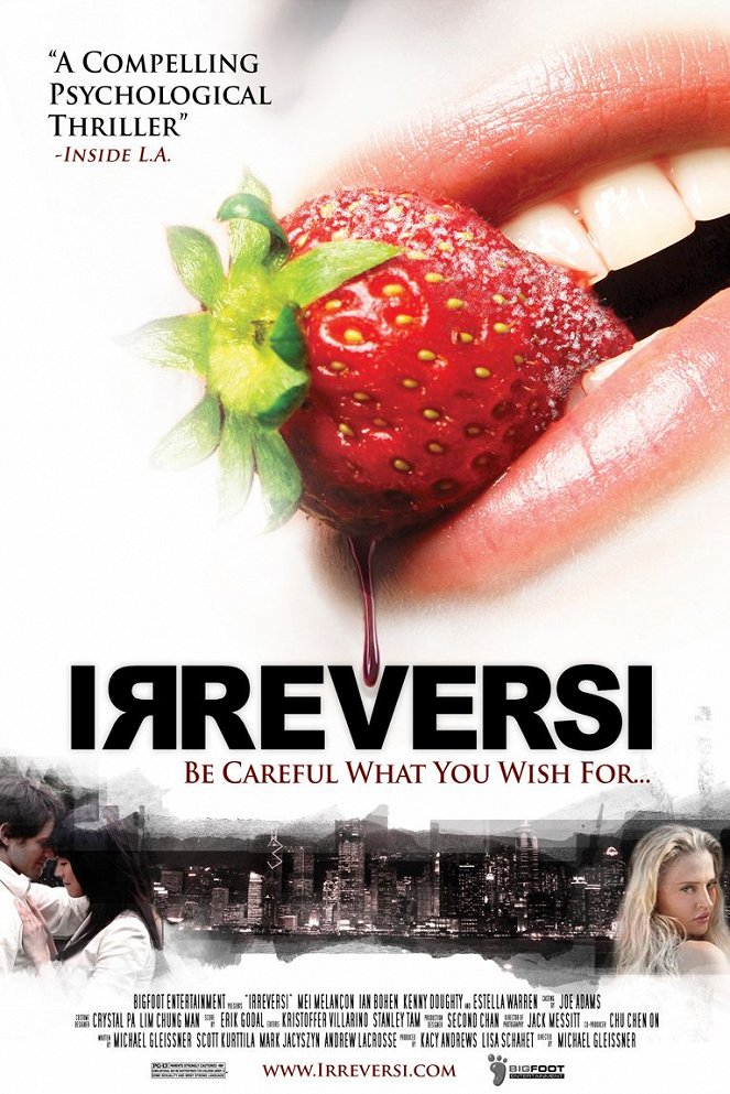 Irreversi - Posters