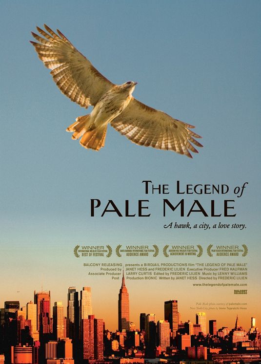 The Legend of Pale Male - Plakátok