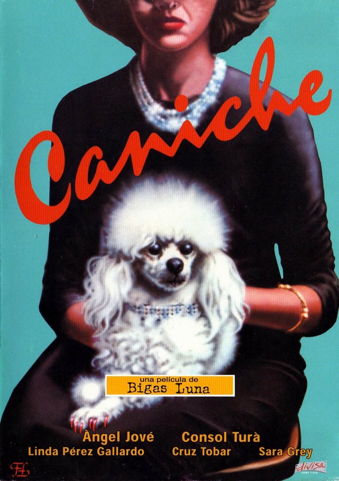 Caniche - Plakate