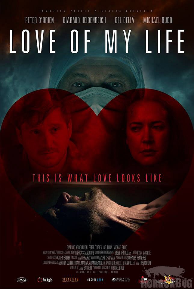Love of my Life - Posters