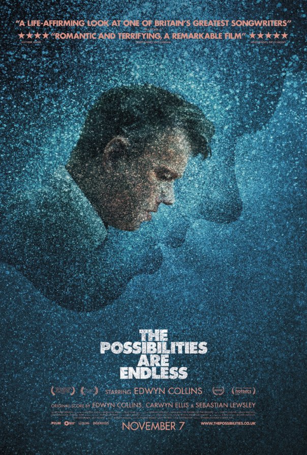 The Possibilities Are Endless - Affiches