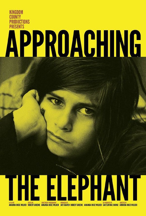 Approaching the Elephant - Affiches