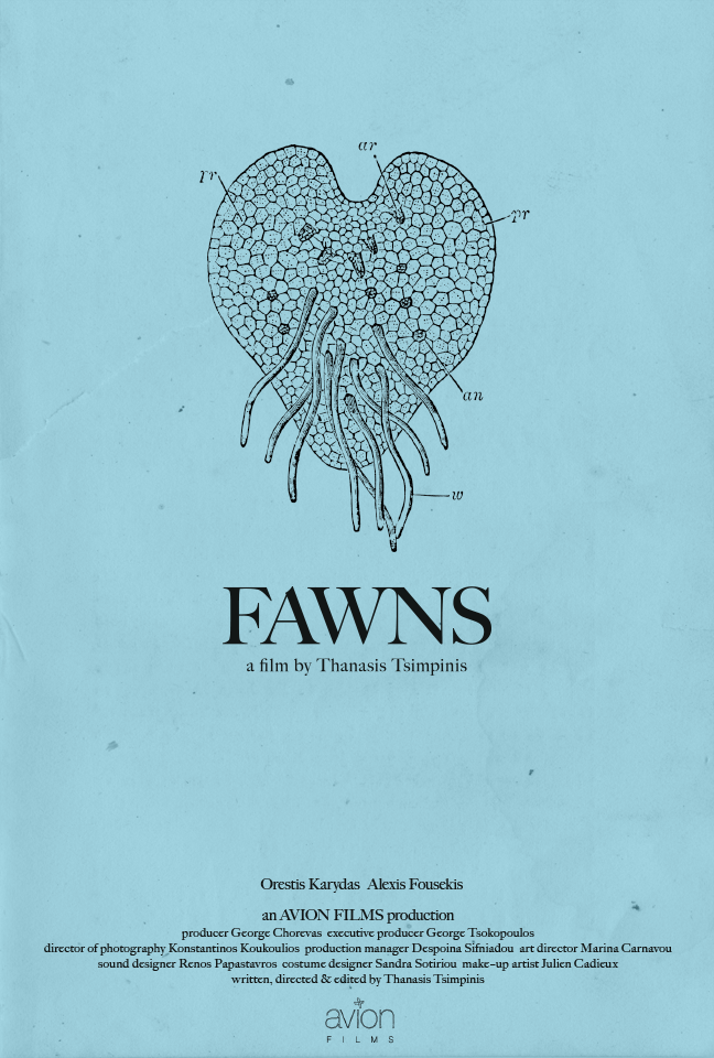 Fawns - Plakaty
