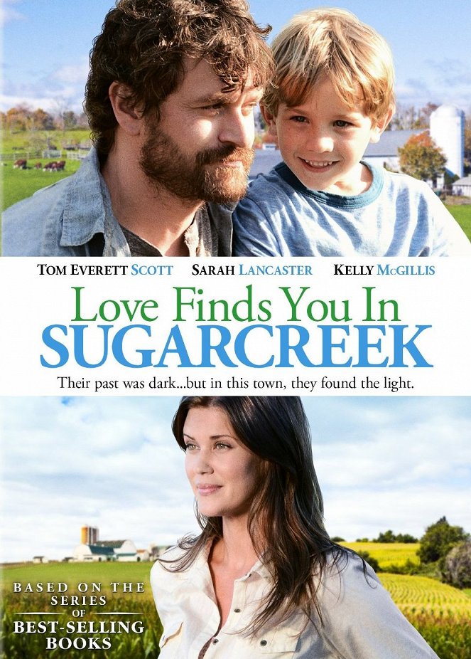 Love Finds You in Sugarcreek - Affiches