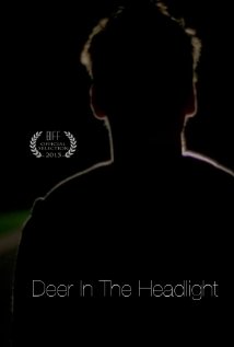 Deer in the Headlight - Plakate