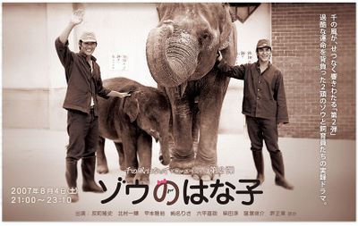 Those Poor Elephants - Posters