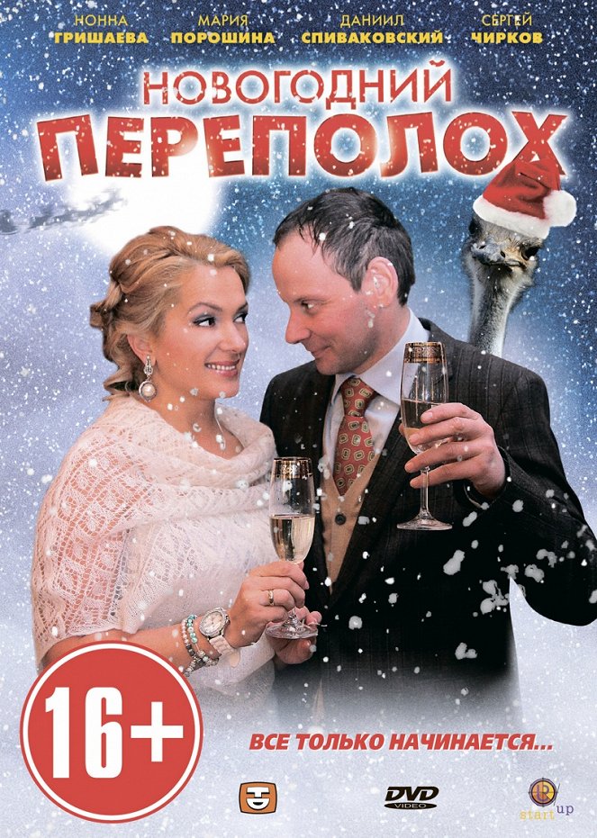 Novogodnij pěrepoloch - Posters