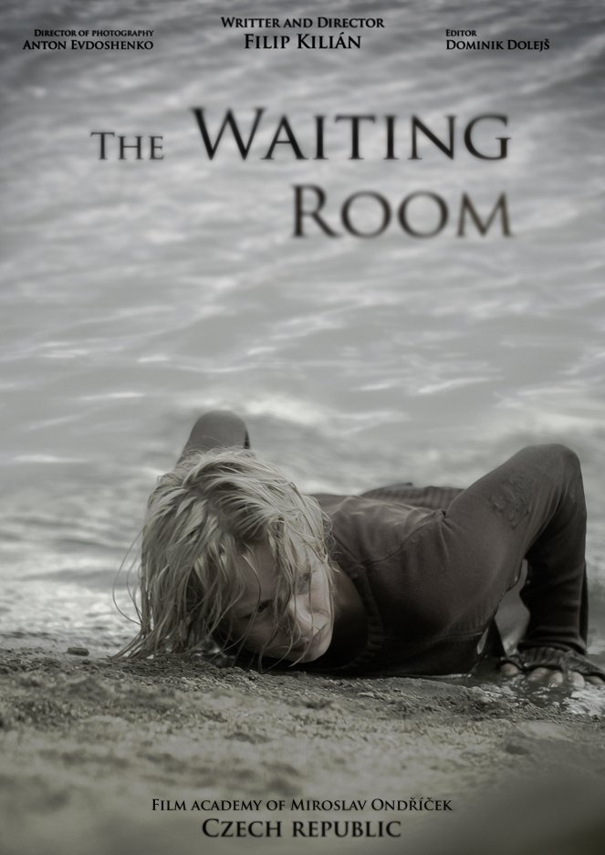 The Waiting Room - Posters