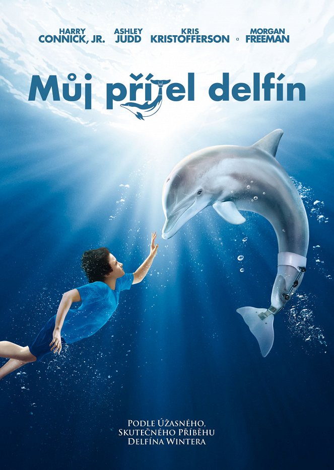 Můj přítel delfín - Plakáty