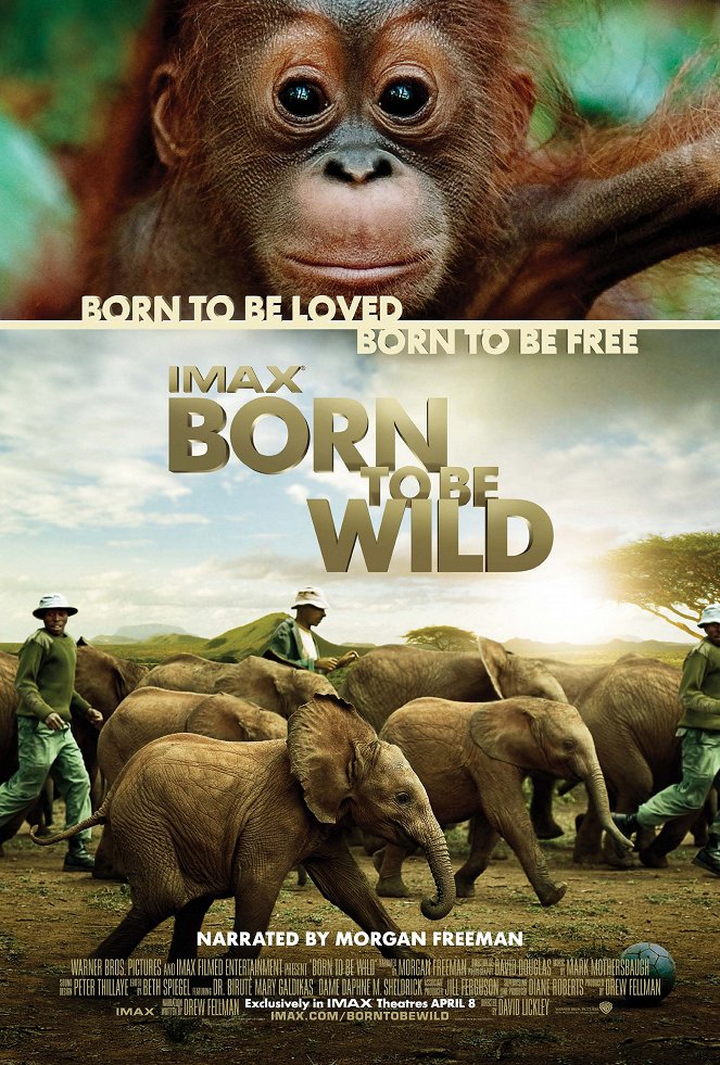 Born to Be Wild - Posters