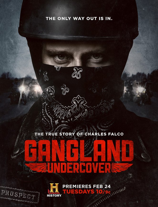 Gangland Undercover - Season 1 - Affiches