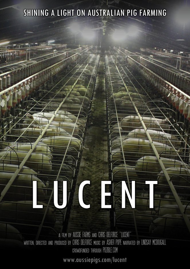 Lucent - Plakaty
