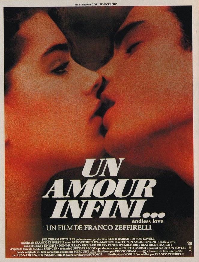 Un amour infini - Affiches