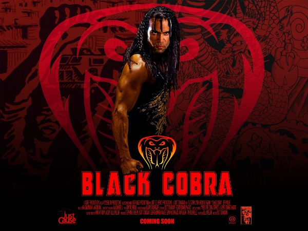 When the Cobra Strikes - Posters