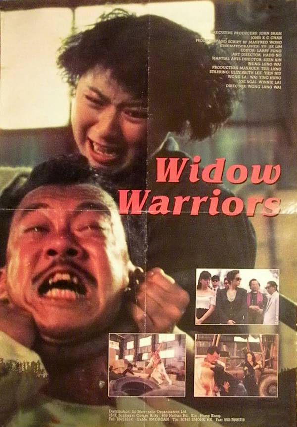 Widow Warriors - Posters