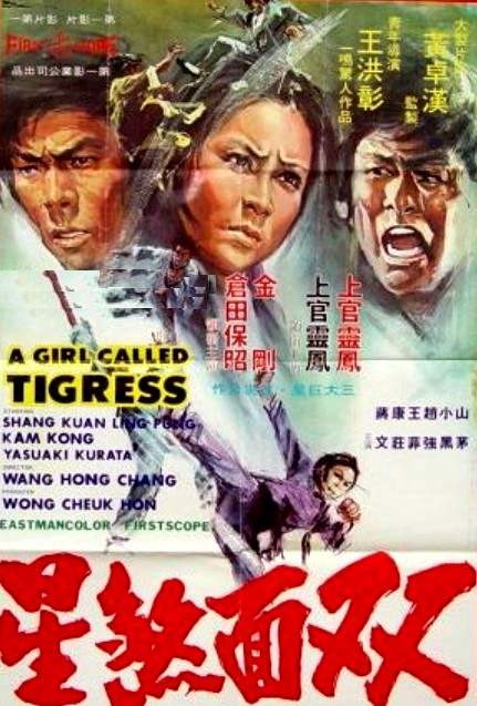 A Girl Called Tigress - Posters