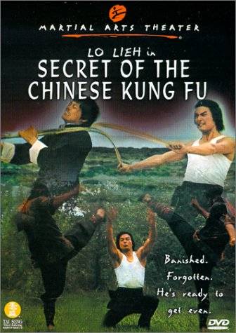 The Secret Shaolin Kung Fu - Posters