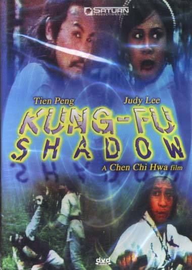 Brave in Kung Fu shadow - Affiches