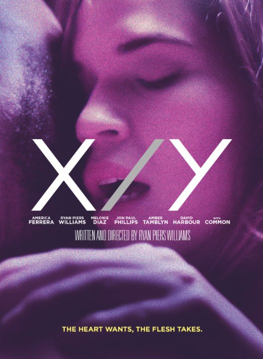 X/Y - Affiches