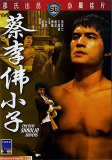 The New Shaolin Boxers - Plakaty