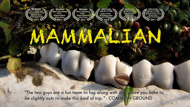 Mammalian - Posters