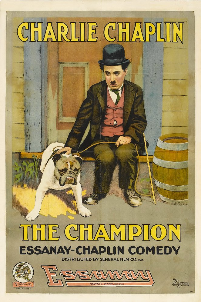 Chaplin boxerem - Plakáty