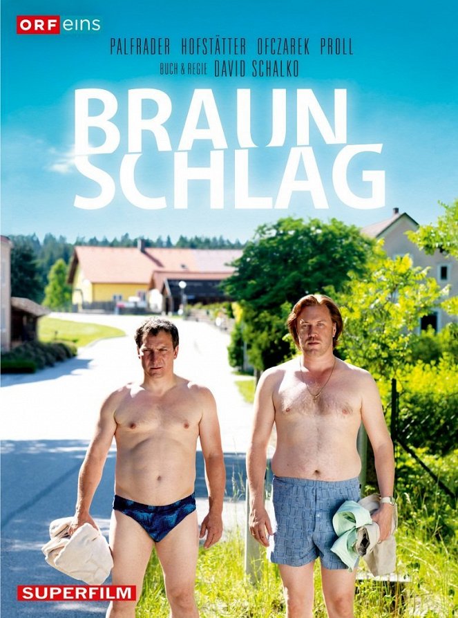 Braunschlag - Plakáty