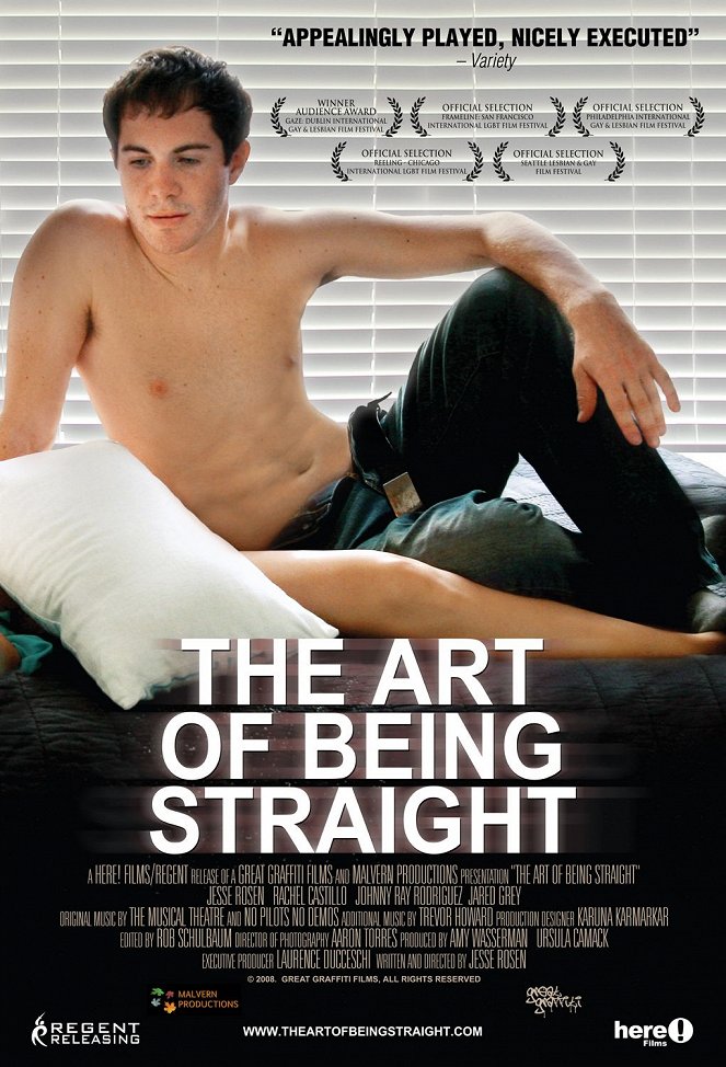 The art of being straight - Affiches