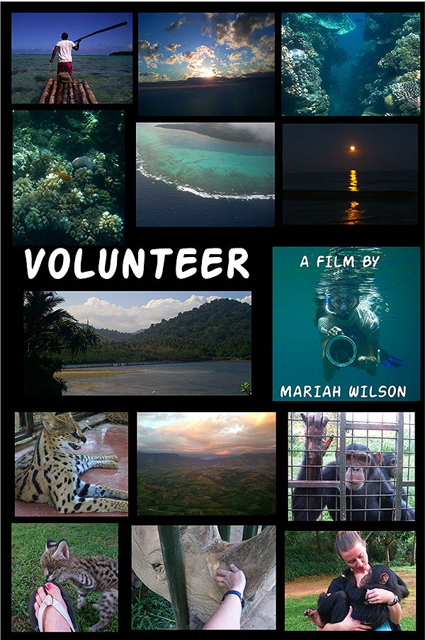 Volunteer - Plakáty