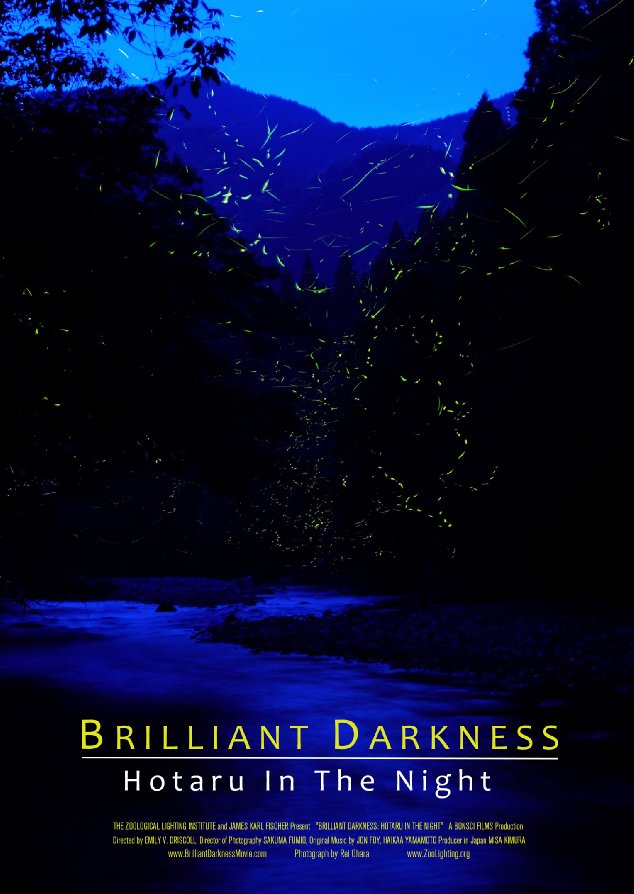 Brilliant Darkness: Hotaru in the Night - Carteles