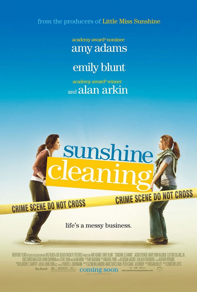 Sunshine Cleaning - Affiches